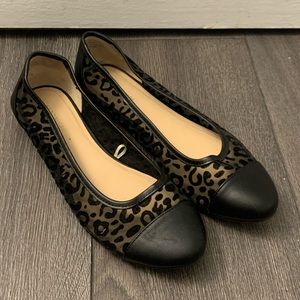 Ann Taylor Factory Leopard Flats